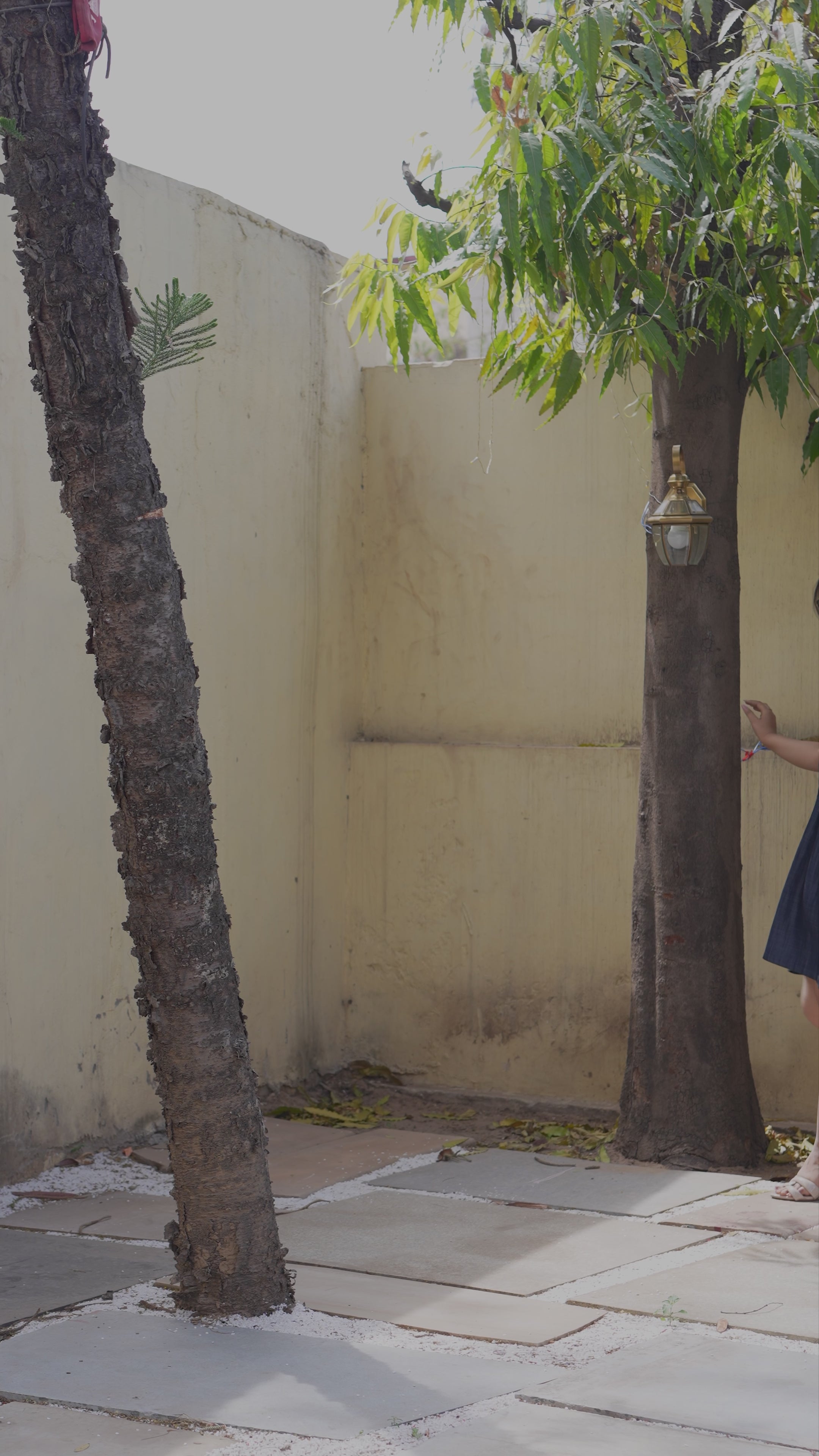 Pleatline Shirt Dress