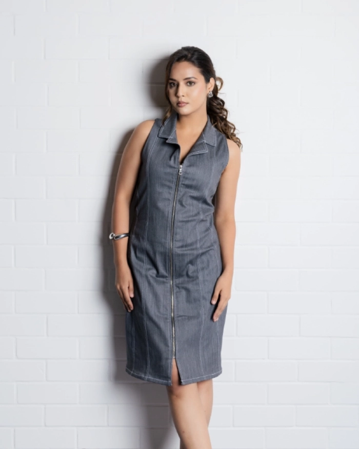 Panelled Dress